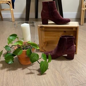 Burgundy call it spring booties👢